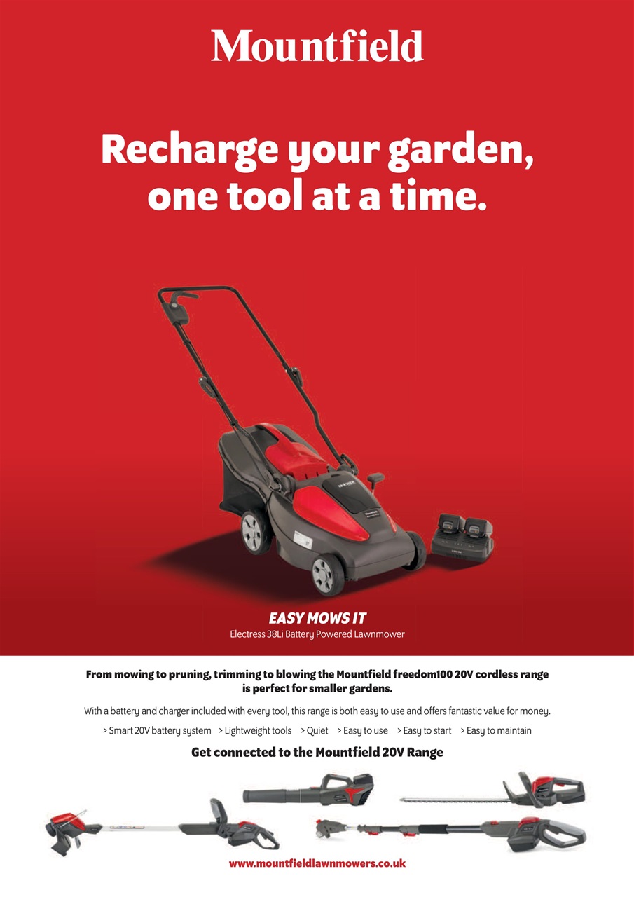 The Lady Preview Pages