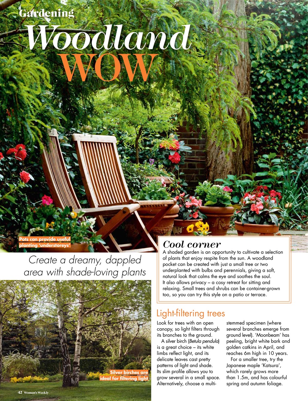 Woman's Weekly Preview Pages