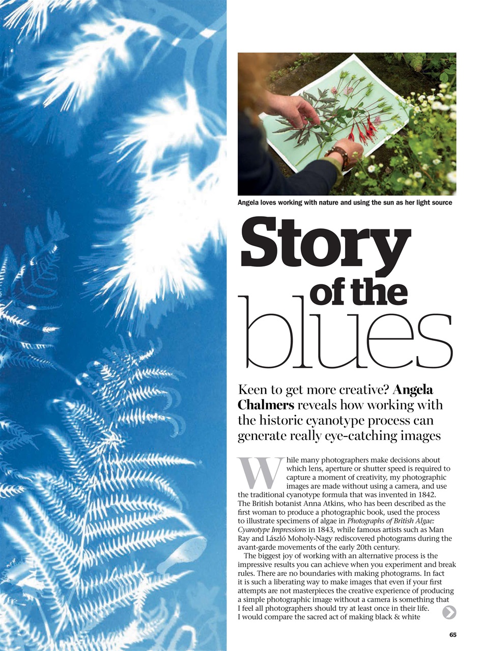 Improve Your Photography Preview Pages