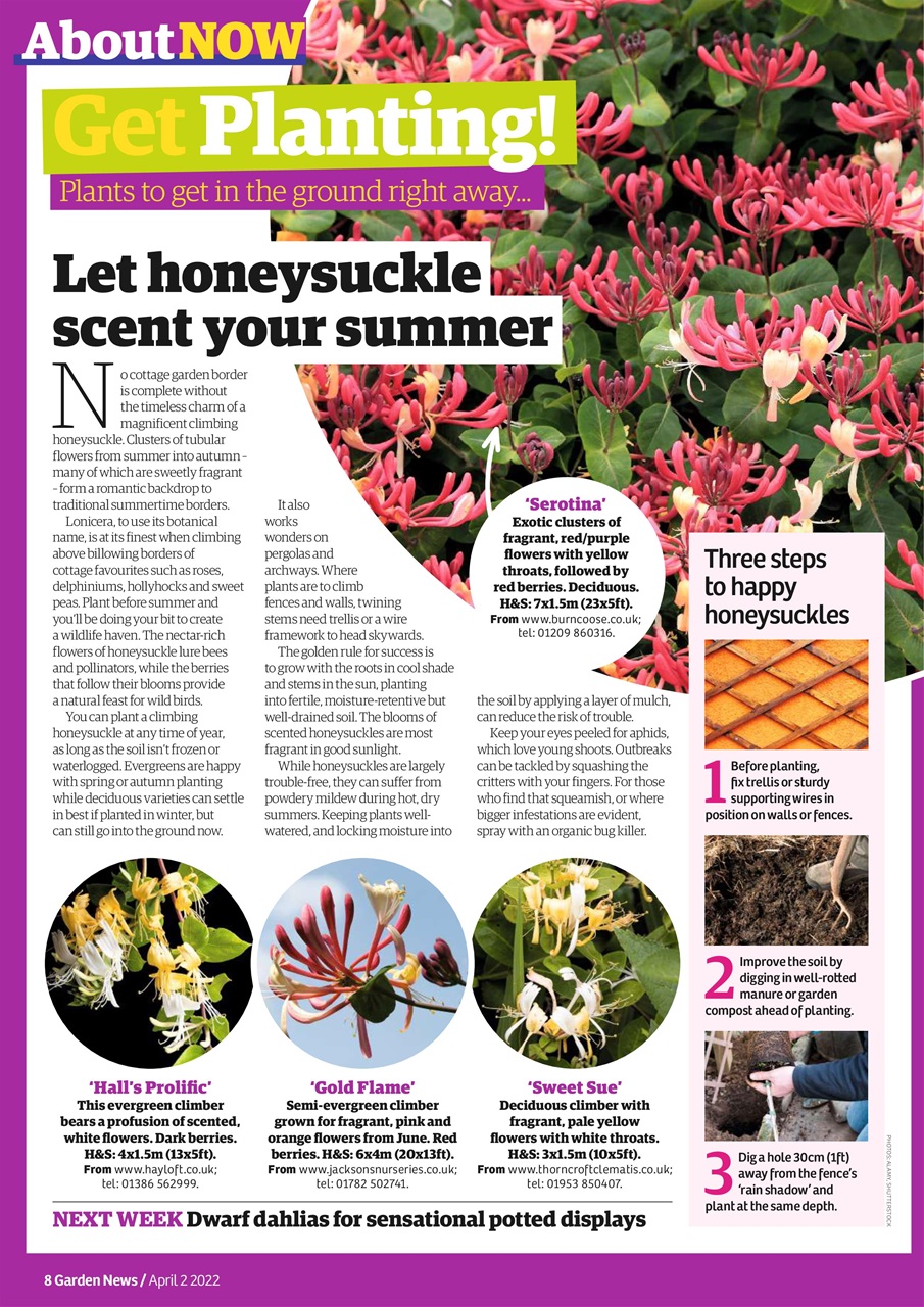 Garden News Preview Pages
