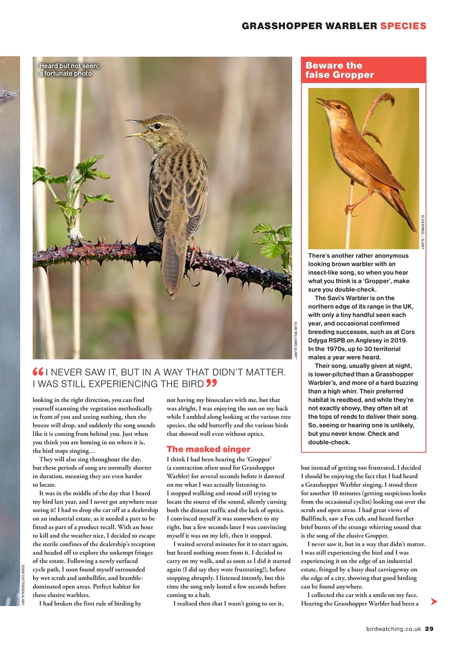 Bird Watching Preview Pages