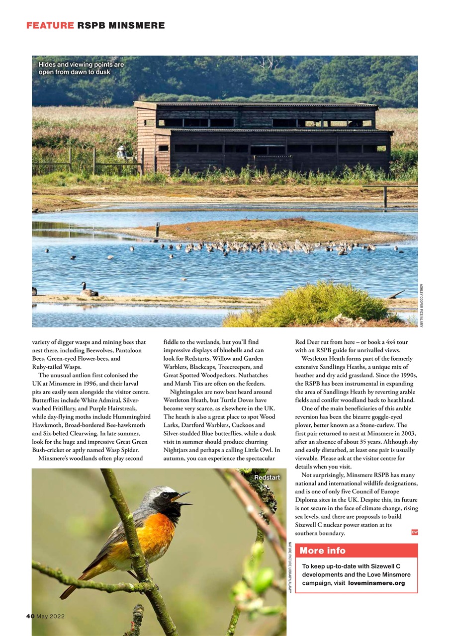 Bird Watching Preview Pages