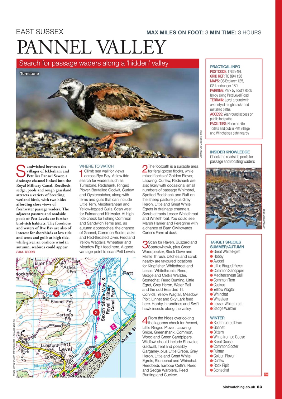 Bird Watching Preview Pages