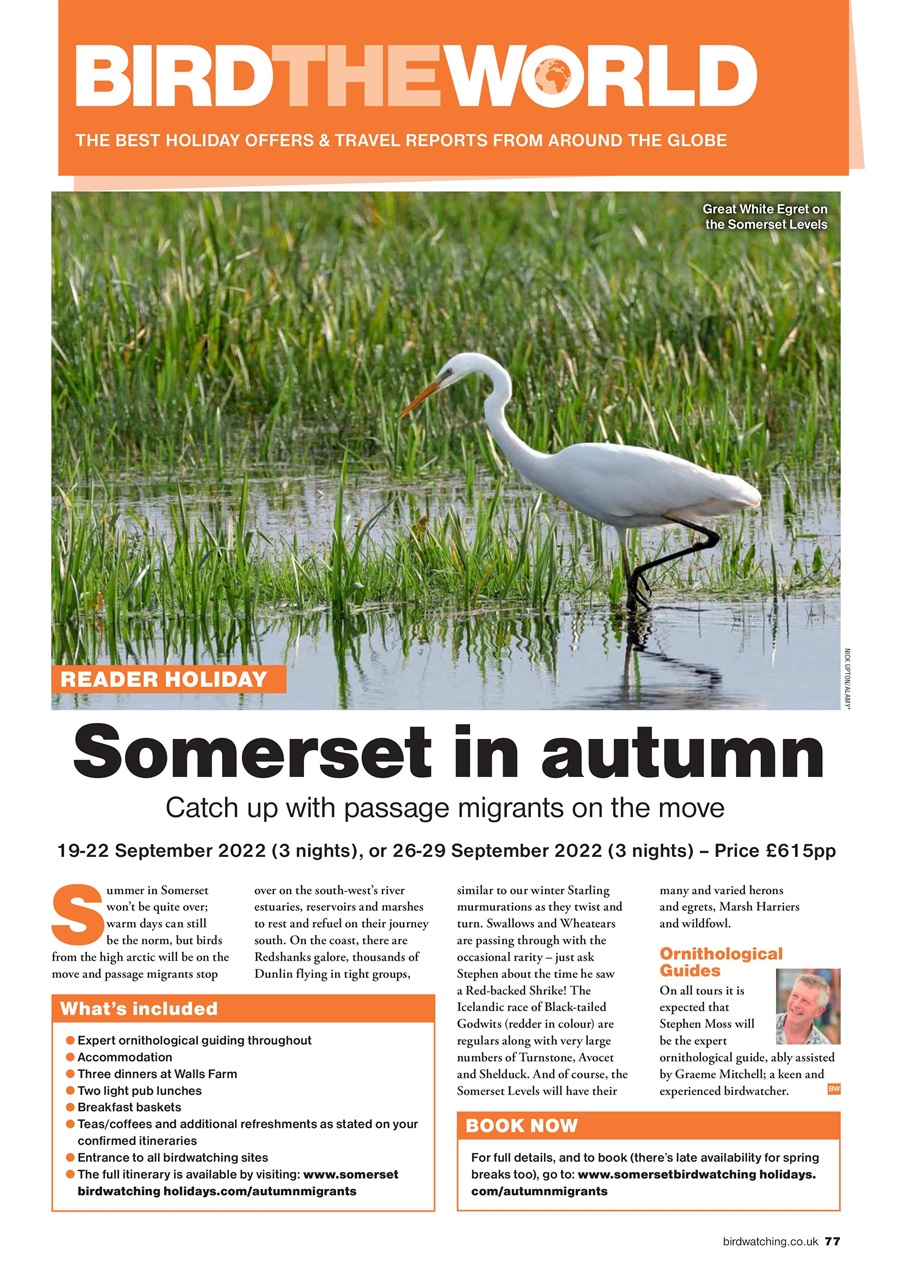 Bird Watching Preview Pages