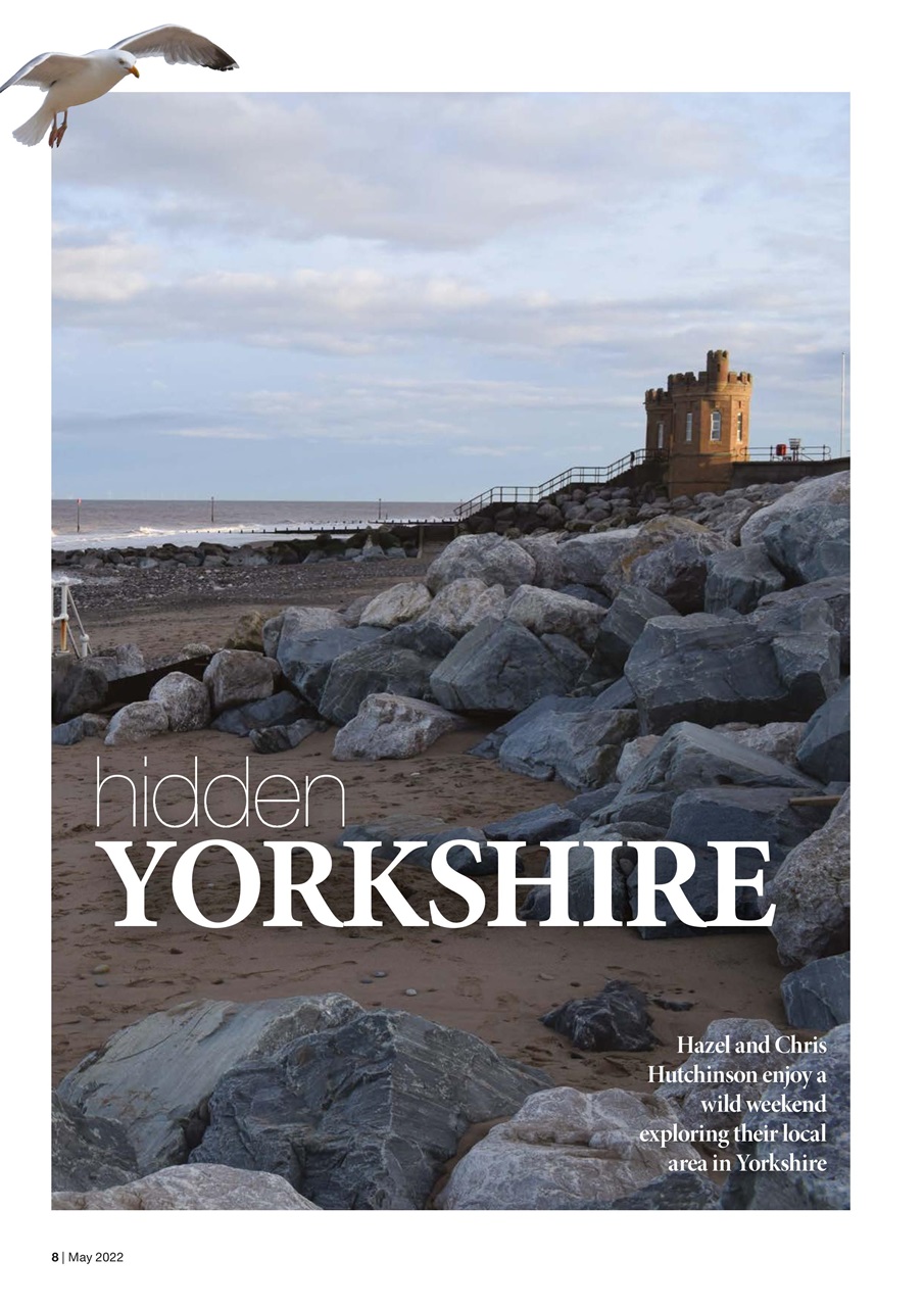 Caravan Magazine Preview Pages