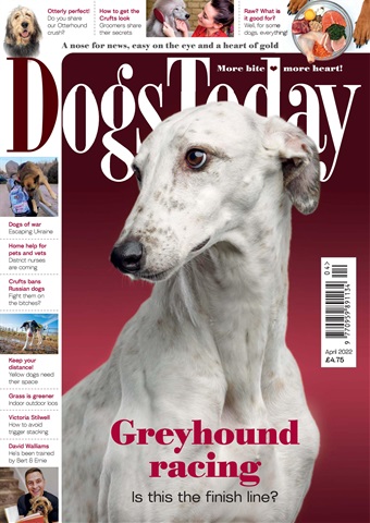 Dogs Today Magazine issue April 2022
