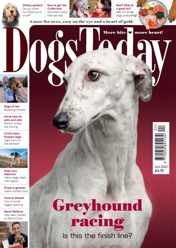 Dogs Today Magazine issue 