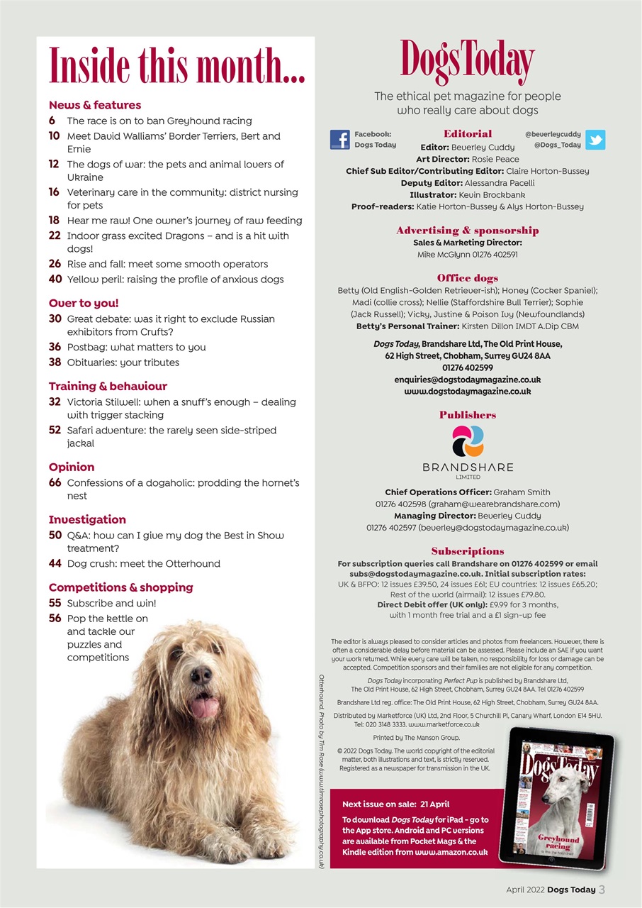 Dogs Today Magazine Preview Pages
