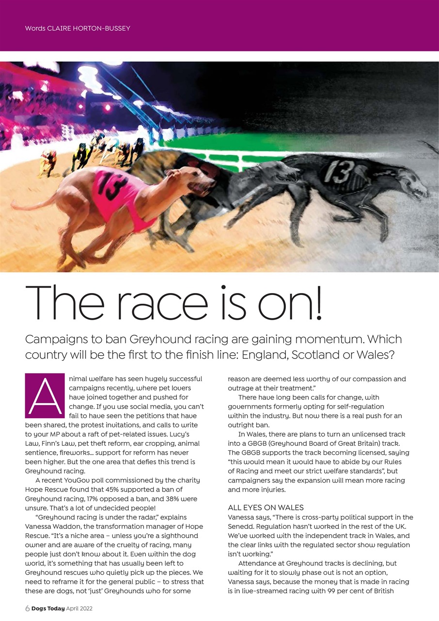 Dogs Today Magazine Preview Pages
