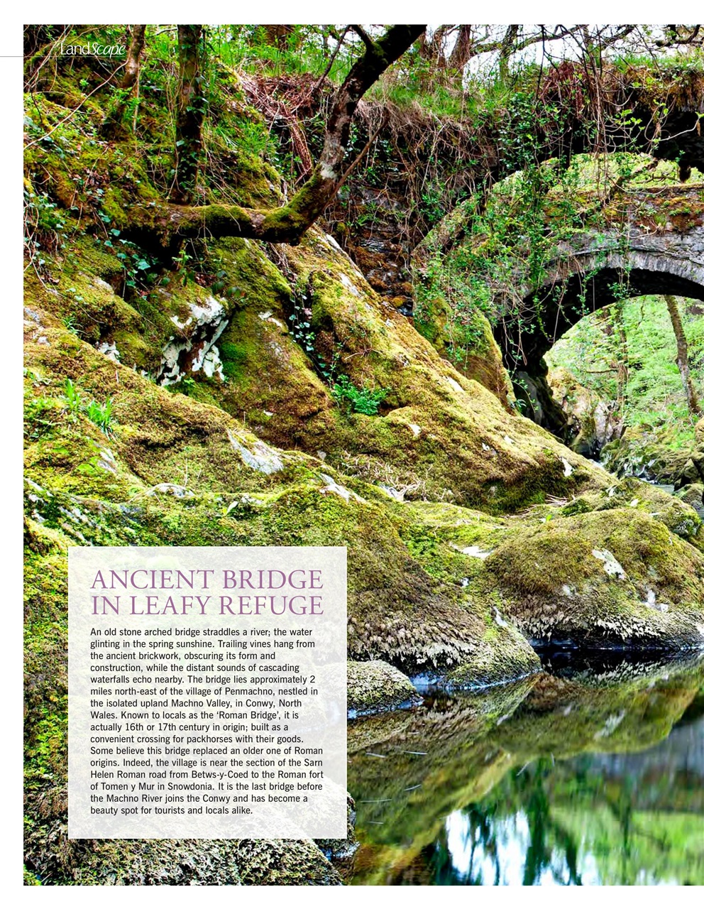 LandScape Preview Pages