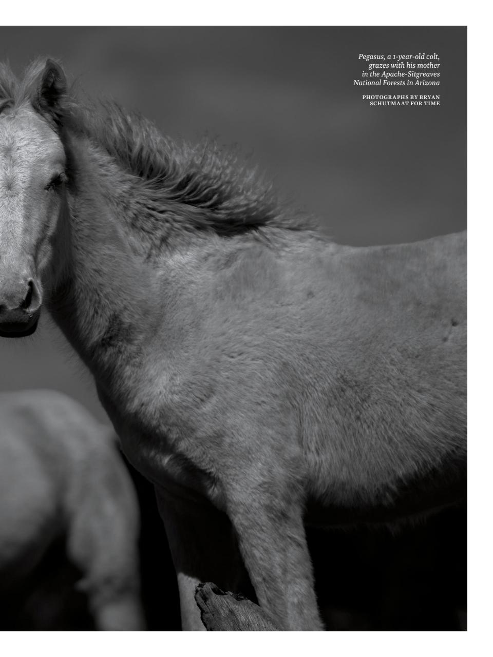 TIME Magazine Europe Preview Pages