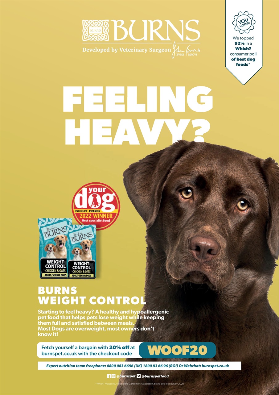 Your Dog Preview Pages