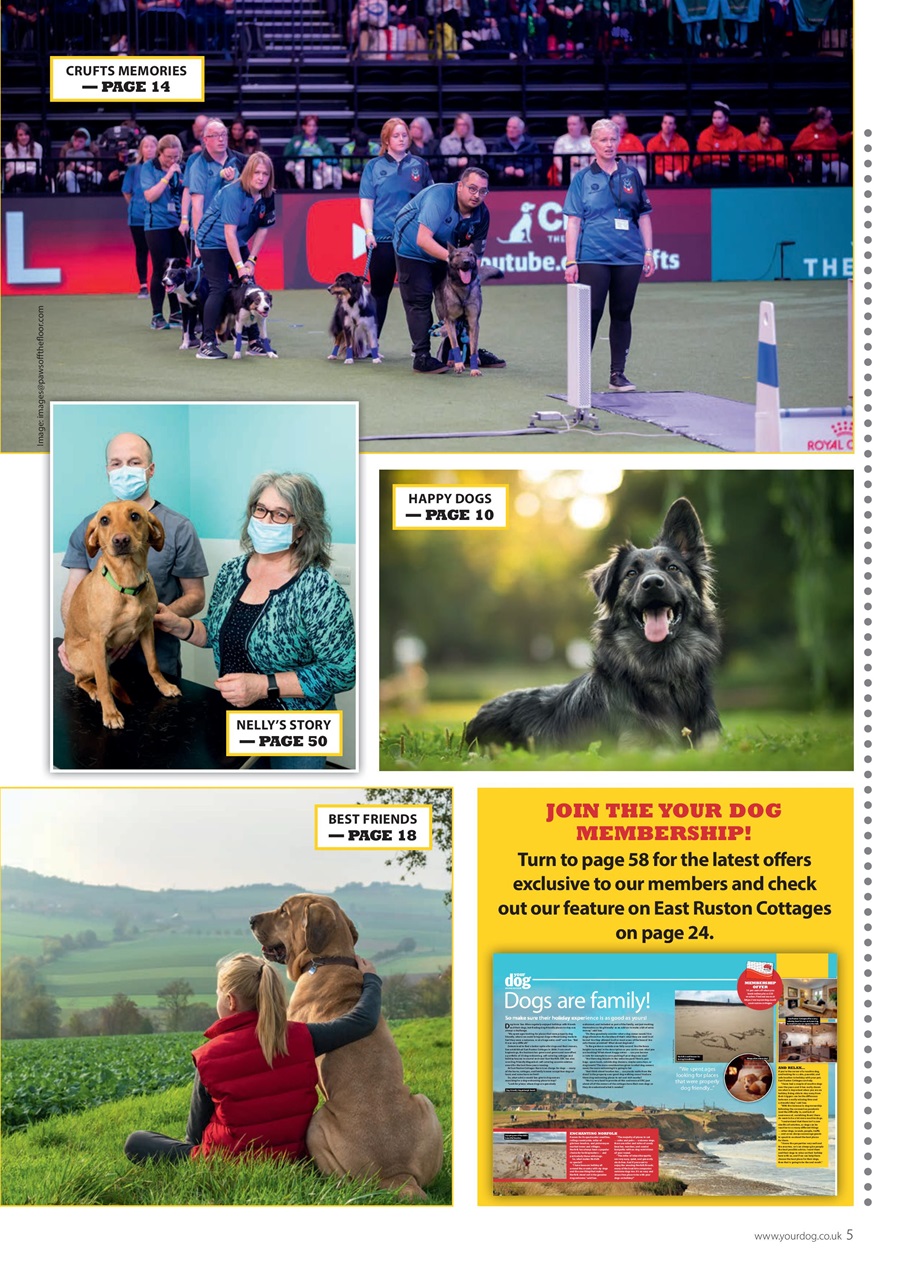 Your Dog Preview Pages