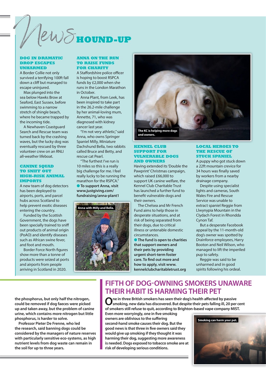 Your Dog Preview Pages