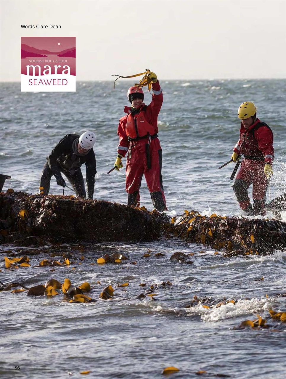 Chef & Restaurant Magazine Preview Pages