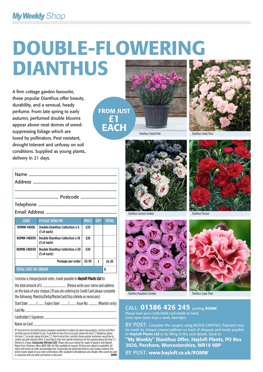 My Weekly Special Preview Pages