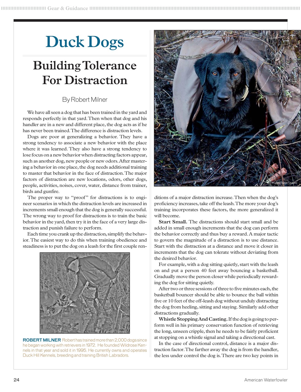 American Waterfowler Preview Pages