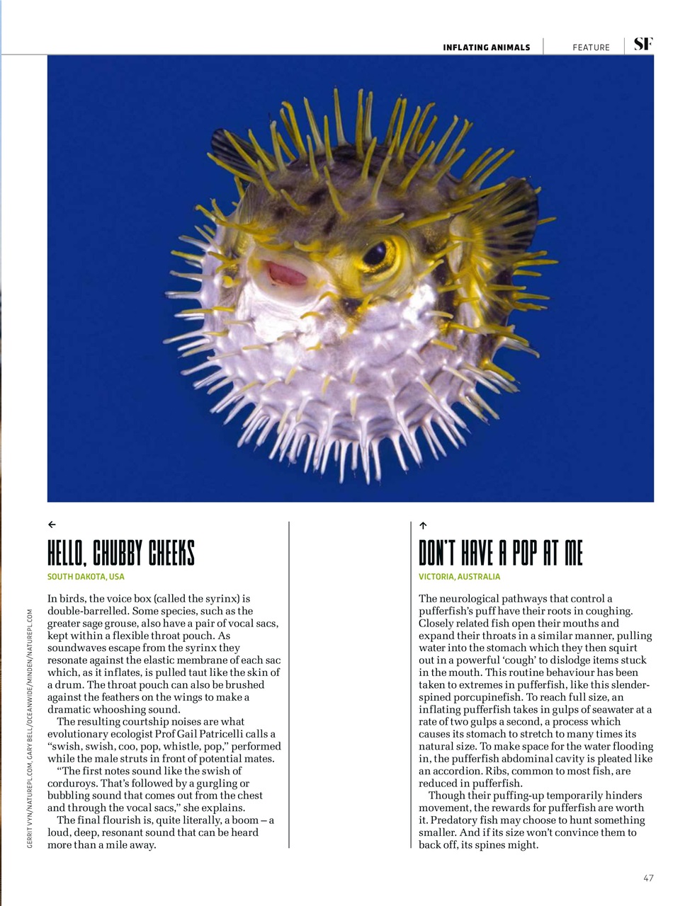 BBC Science Focus Magazine Preview Pages