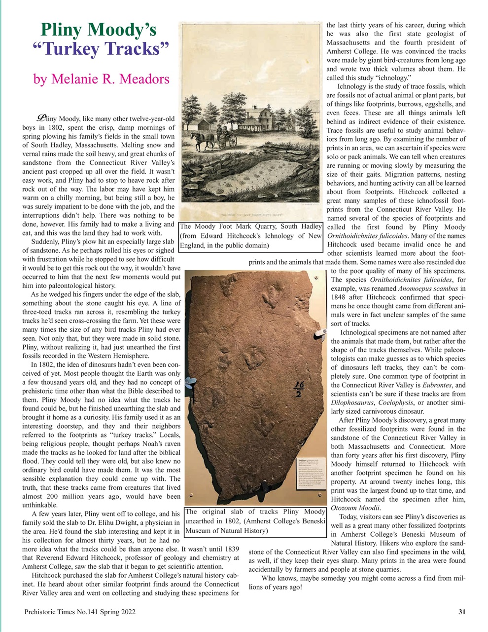 Prehistoric Times Preview Pages