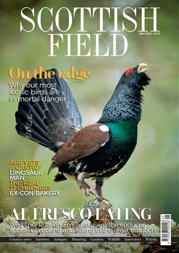 Scottish Field issue 