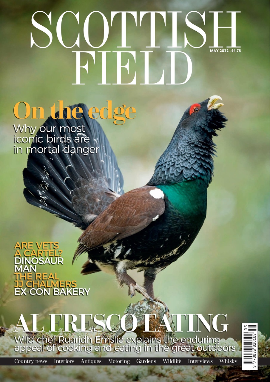 Scottish Field Preview Pages