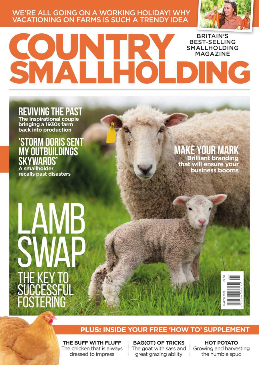 The Country Smallholder Preview Pages