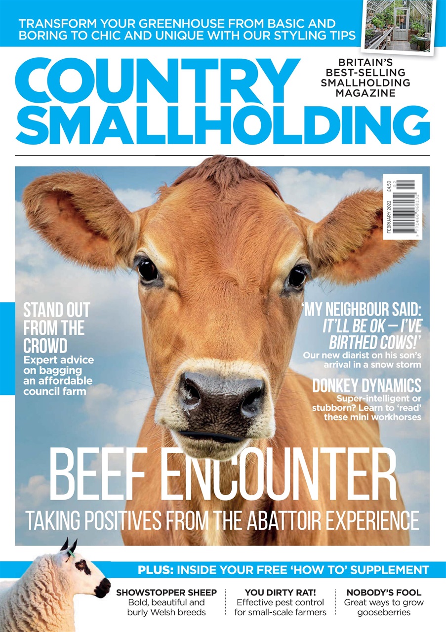 The Country Smallholder Preview Pages