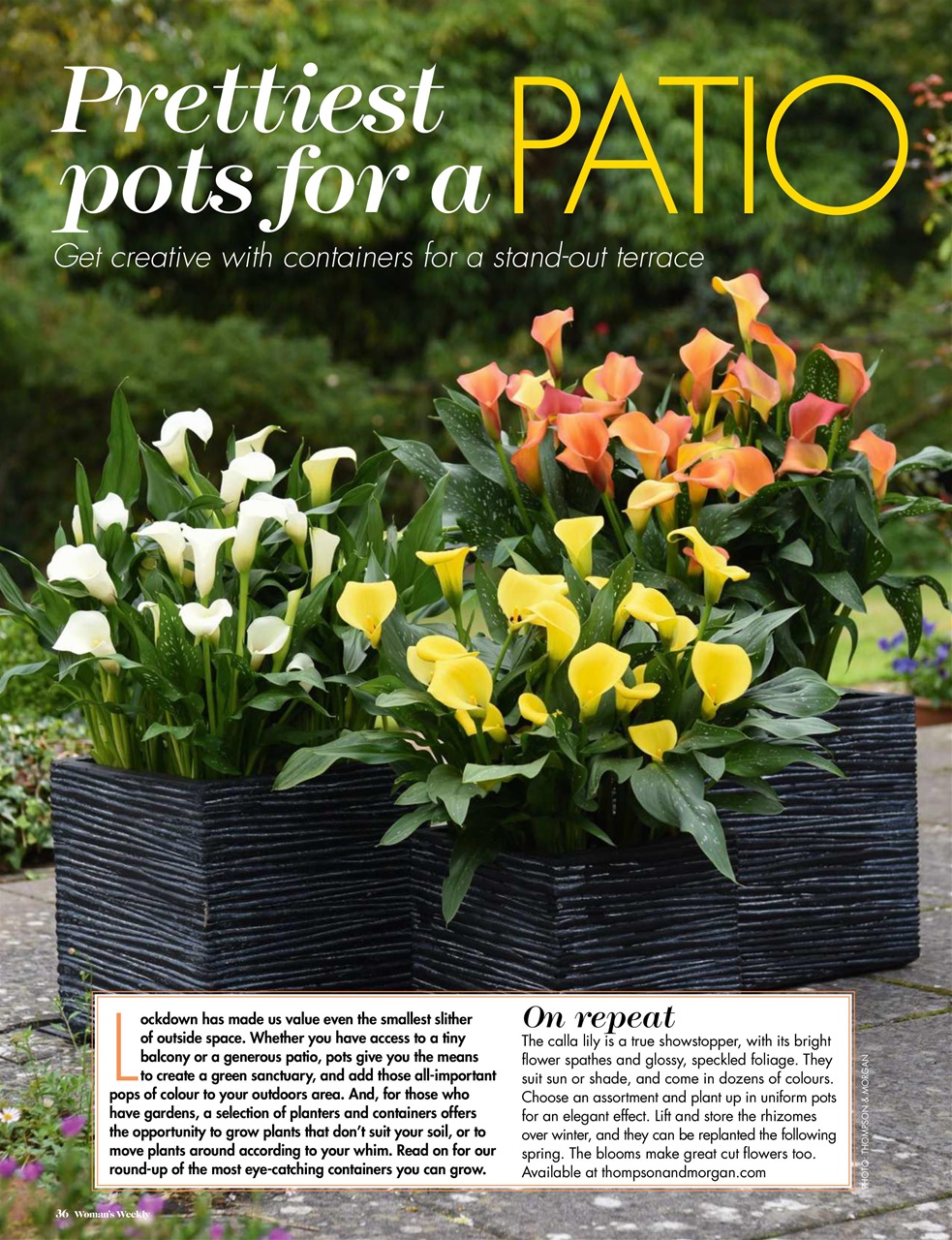 Woman's Weekly Preview Pages