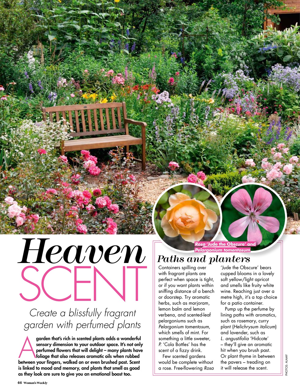 Woman's Weekly Preview Pages