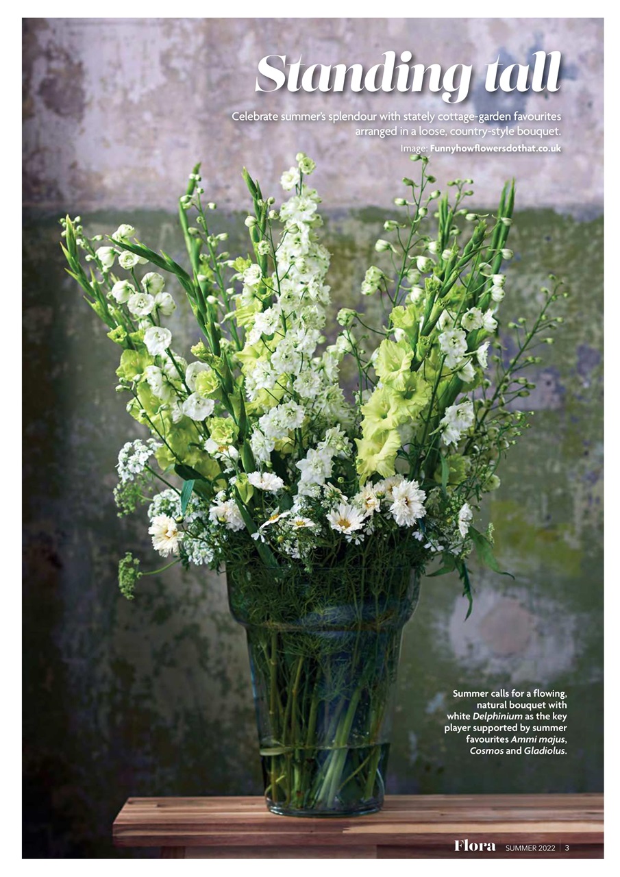 Flora International Preview Pages