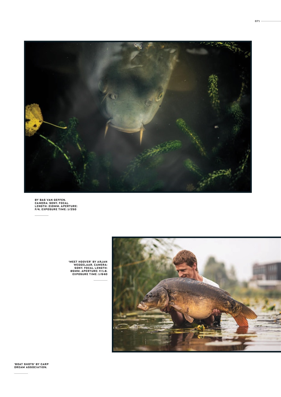 CARPology Magazine Preview Pages