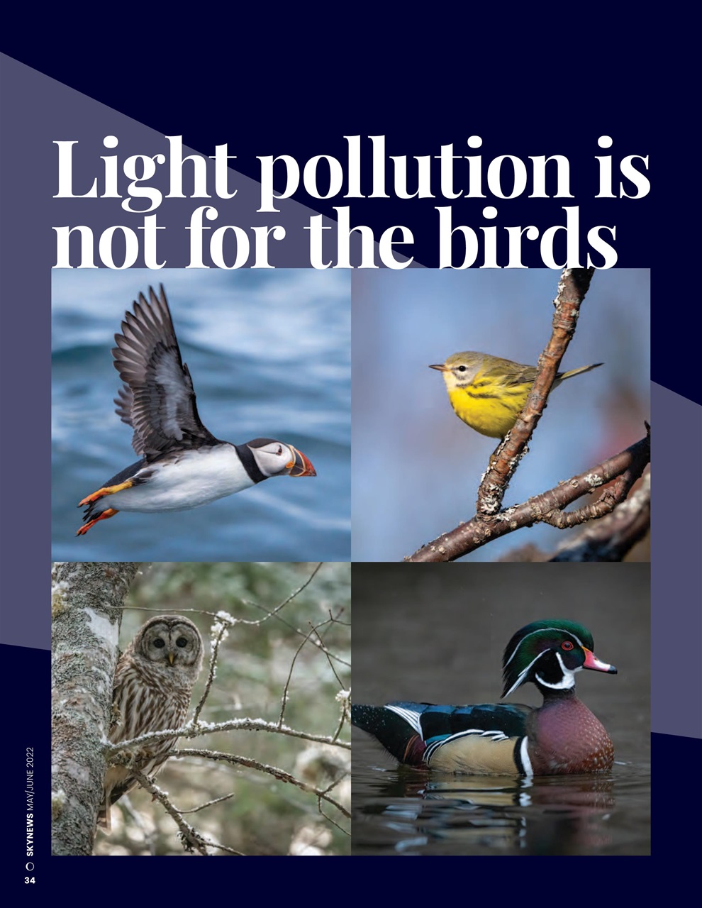 SkyNews Preview Pages