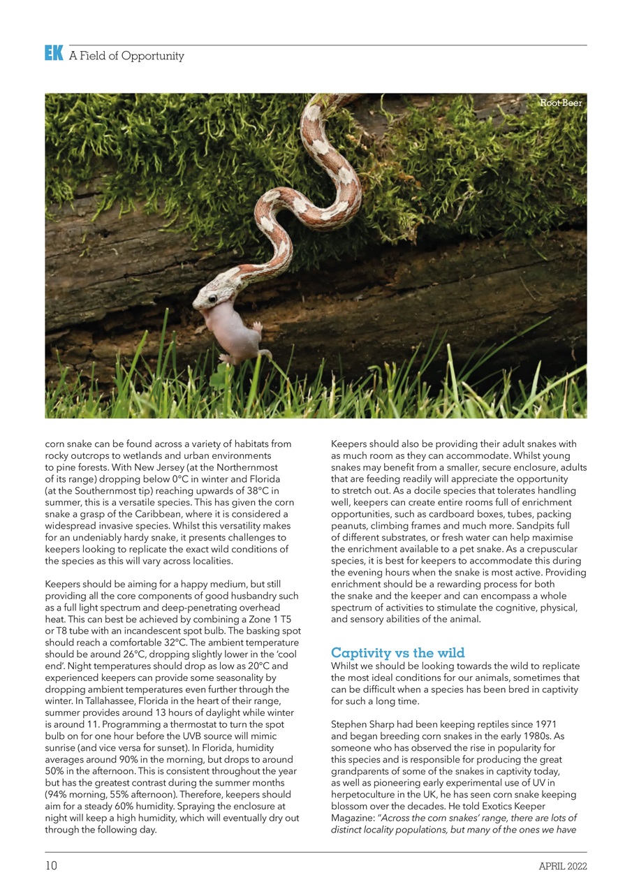 Exotics Keeper Preview Pages