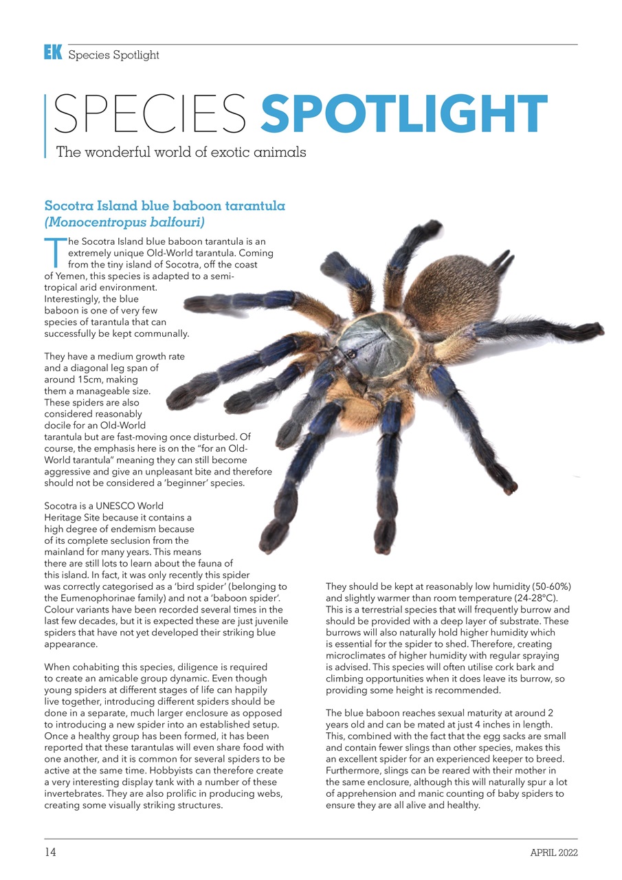 Exotics Keeper Preview Pages