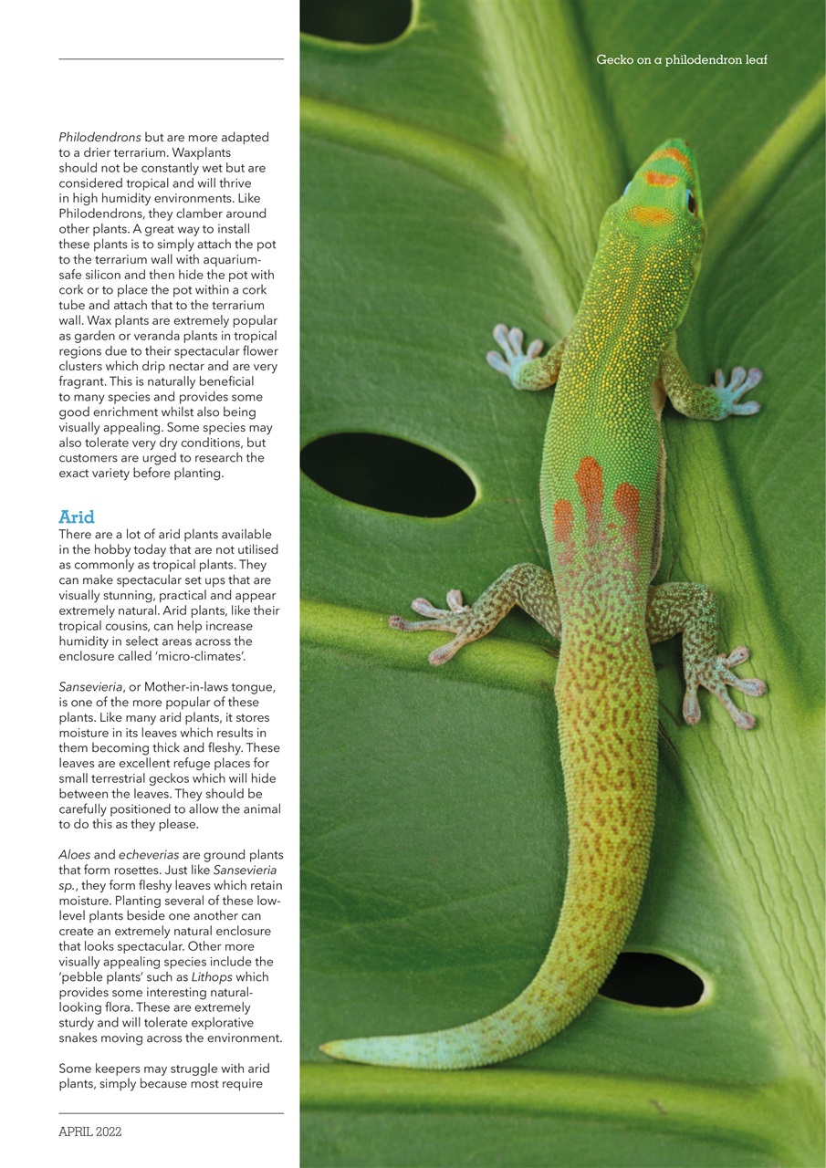 Exotics Keeper Preview Pages