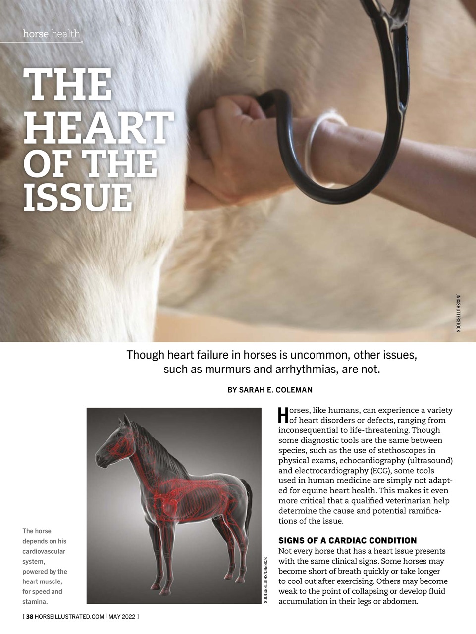 Horse Illustrated Magazine Preview Pages