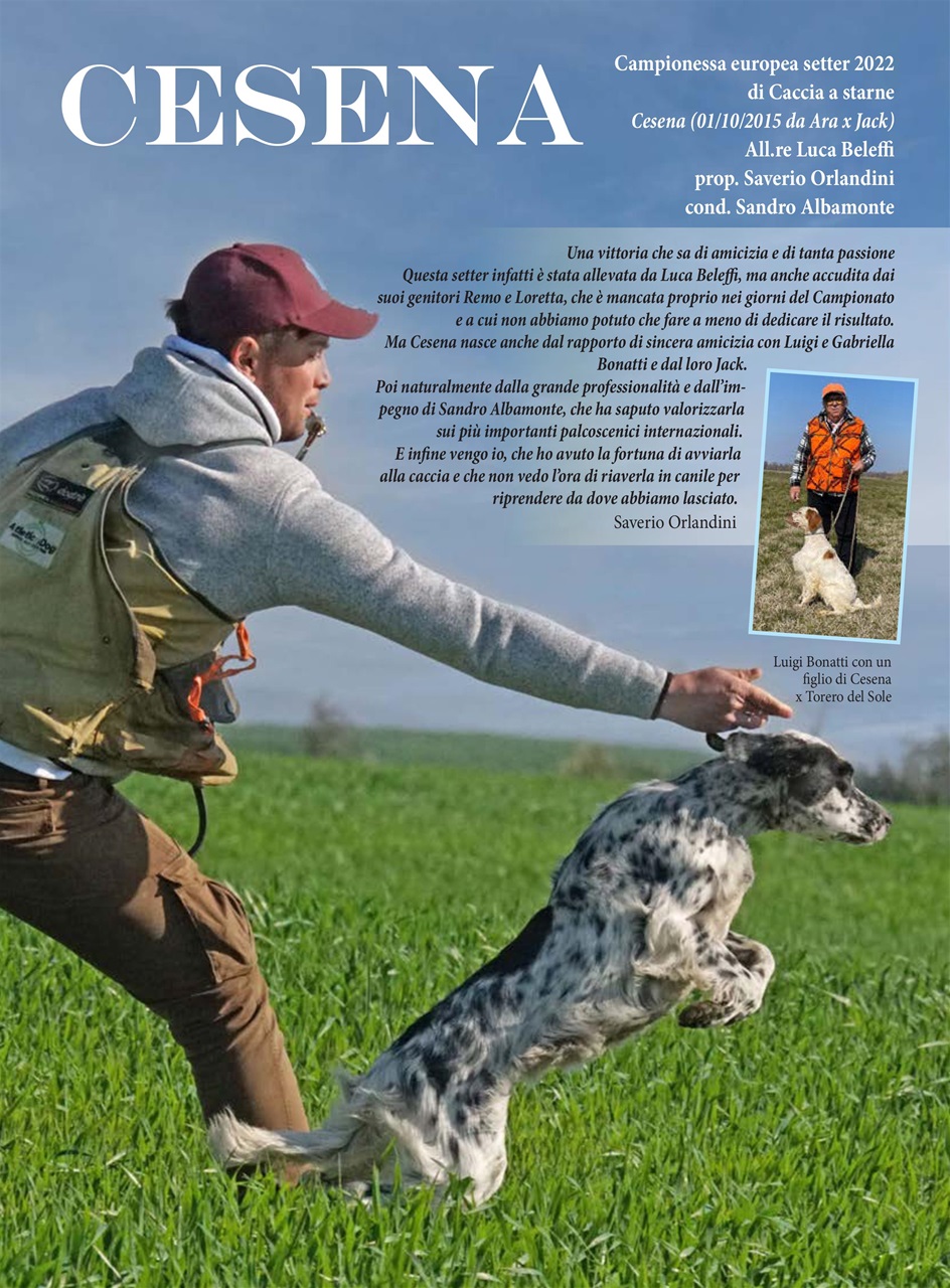 La Gazzetta Della Cinofilia Venatoria Preview Pages