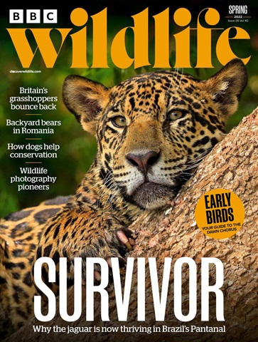 BBC Wildlife Magazine issue Spring 2022