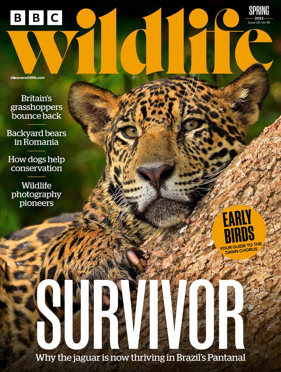 BBC Wildlife Magazine Preview Pages