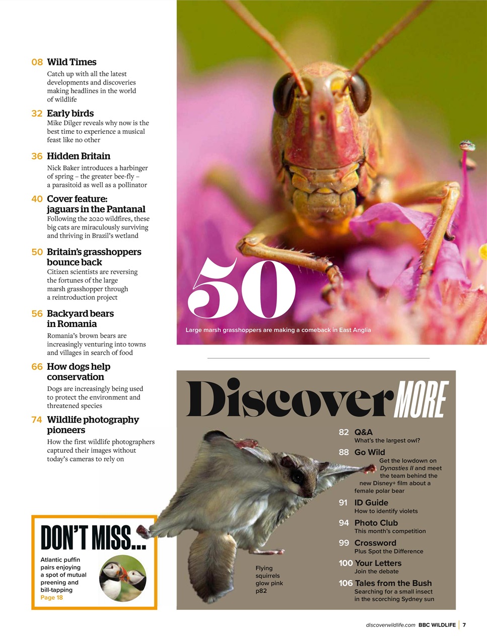 BBC Wildlife Magazine Preview Pages