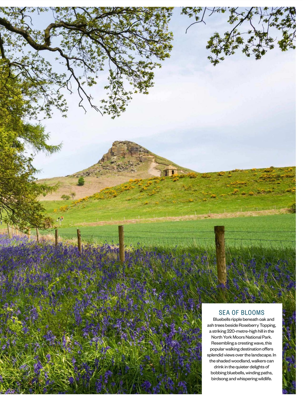 BBC Countryfile Magazine Preview Pages