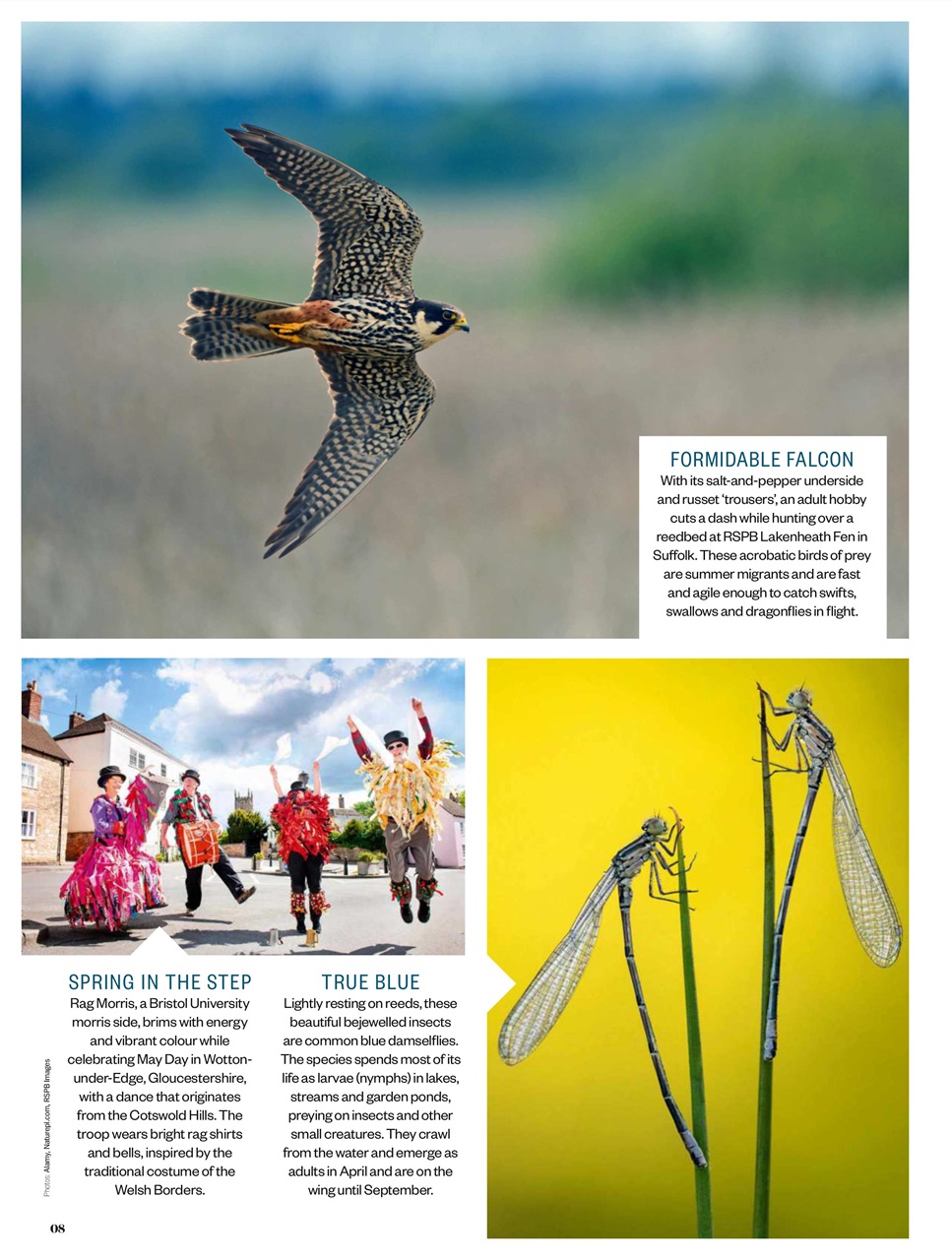 BBC Countryfile Magazine Preview Pages