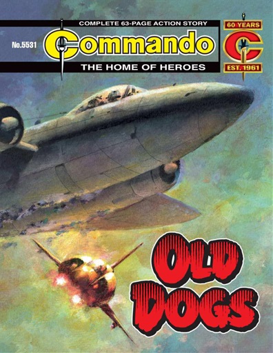 Commando issue 