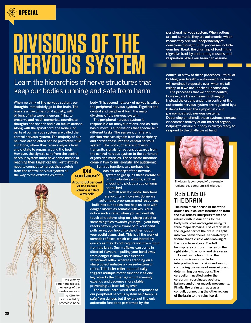 How It Works Preview Pages