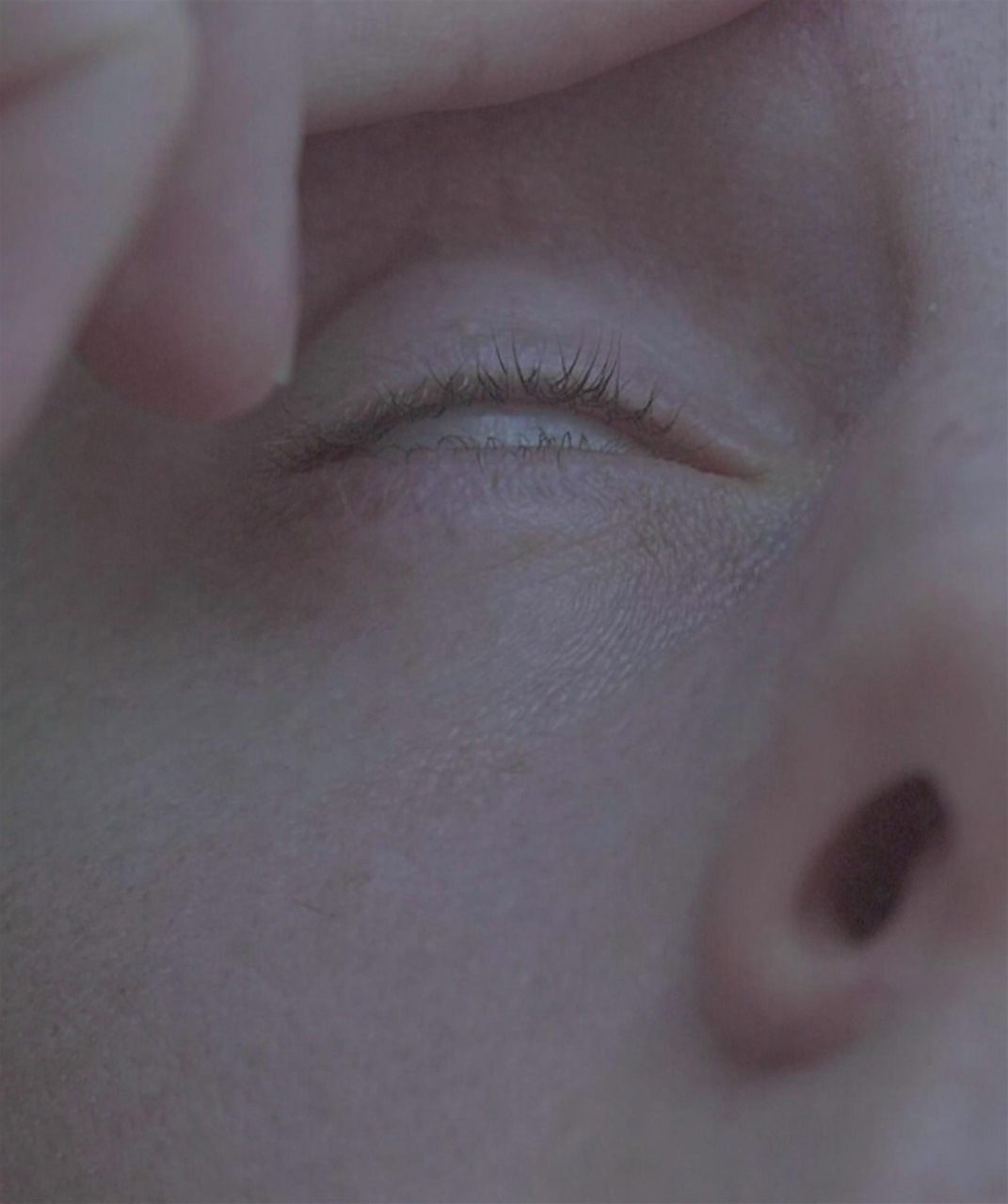 Art Collector Preview Pages