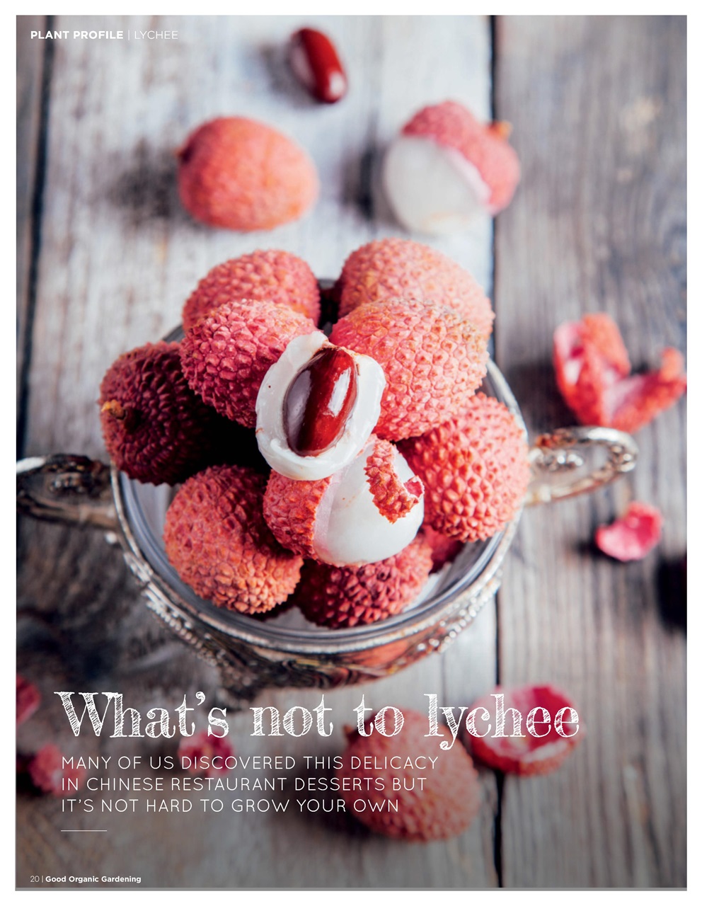 Good Organic Gardening Preview Pages