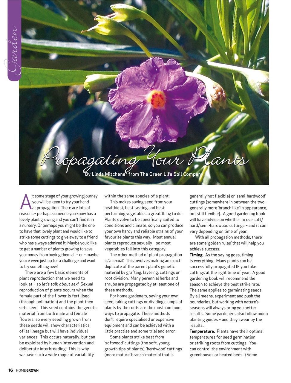 HomeGrown Preview Pages