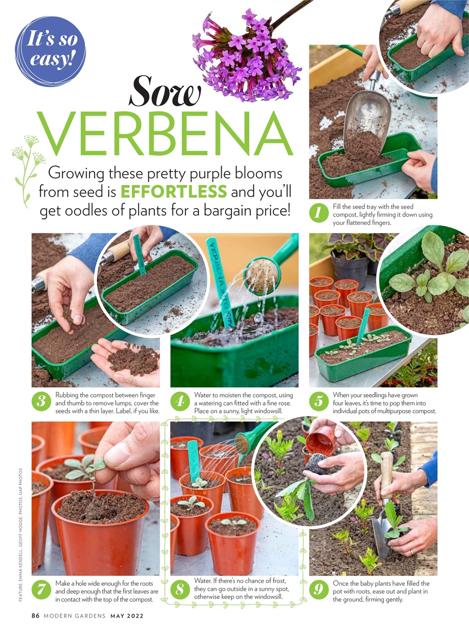 Modern Gardens Preview Pages
