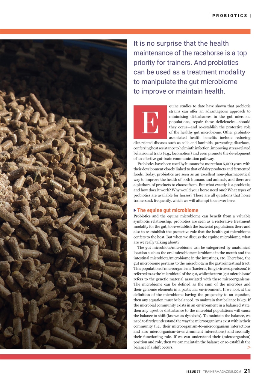 European Trainer Magazine - horse racing Preview Pages