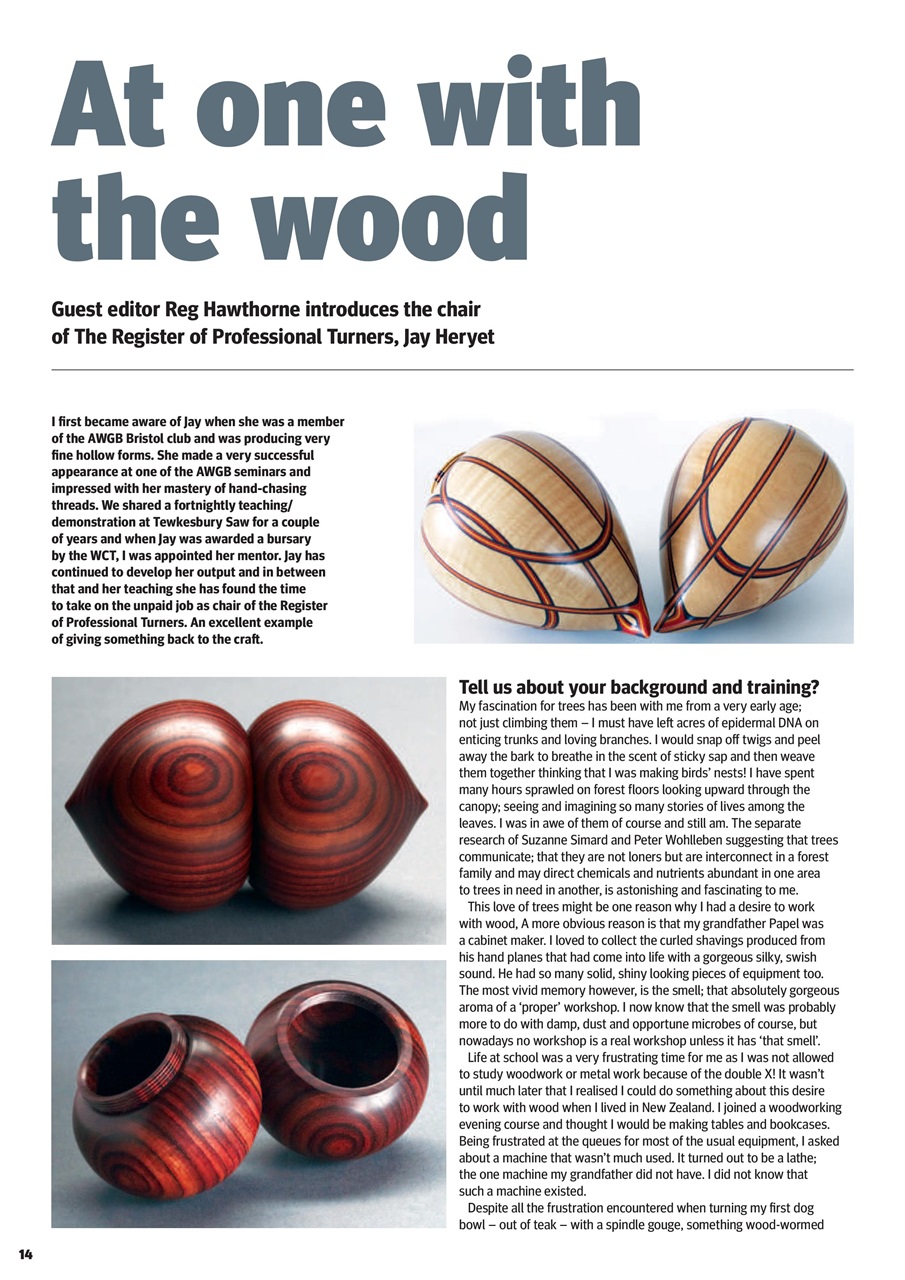 Woodturning Preview Pages